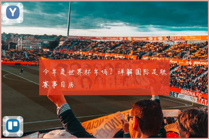 今年是世界杯年吗？详解国际足联赛事日历